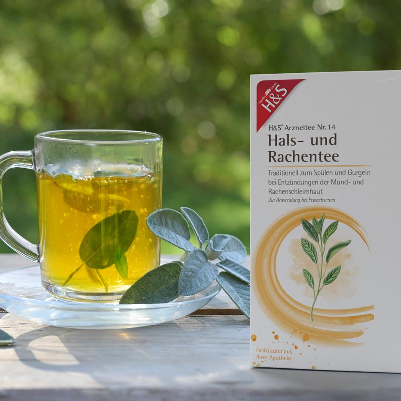 H&S Arzneitee Hals- und Rachentee 20X2.5 g Filterbeutel