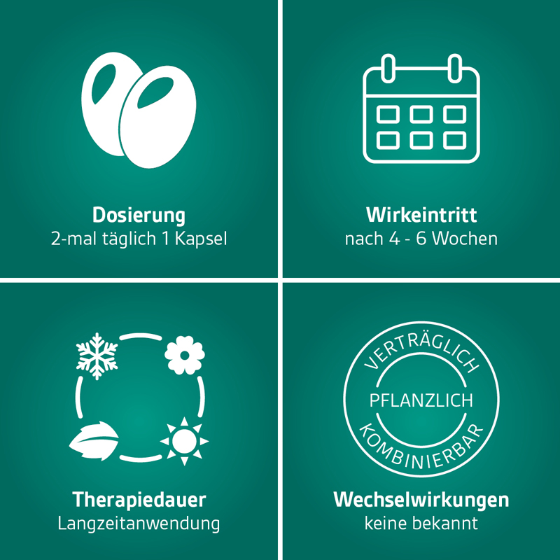 Prostagutt duo 160 mg/120 mg 120 St Weichkapseln