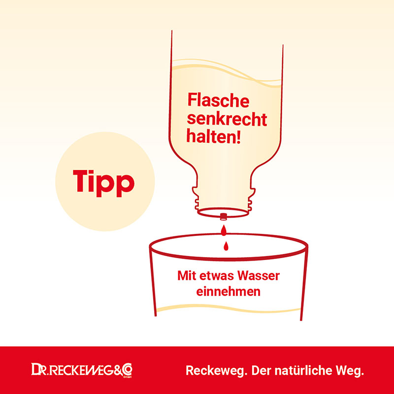 HAEMORRHOID Gastreu N R13 Tropfen zum Einnehmen 50 ml Mischung
