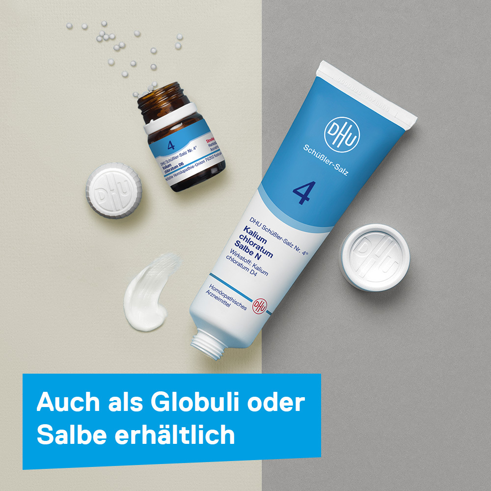 DHU Schüßler-Salz Nr. 4 Kalium chloratum D6 900 St Tabletten
