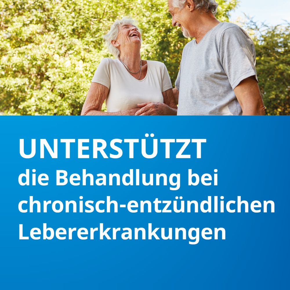 Silymarin STADA 100 St Hartkapseln