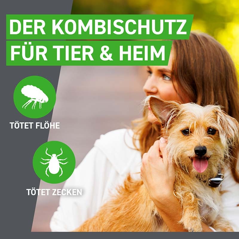 FRONTLINE COMBO gegen Zecken, Flöhe (Flöhe, Eier, Larven, Puppen) für Hunde M (10-20 Kg) 3 St Lösung