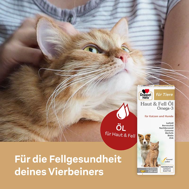 Doppelherz Haut & Fell Öl Omega-3 für Katzen und Hunde 250 ml Flüssigkeit