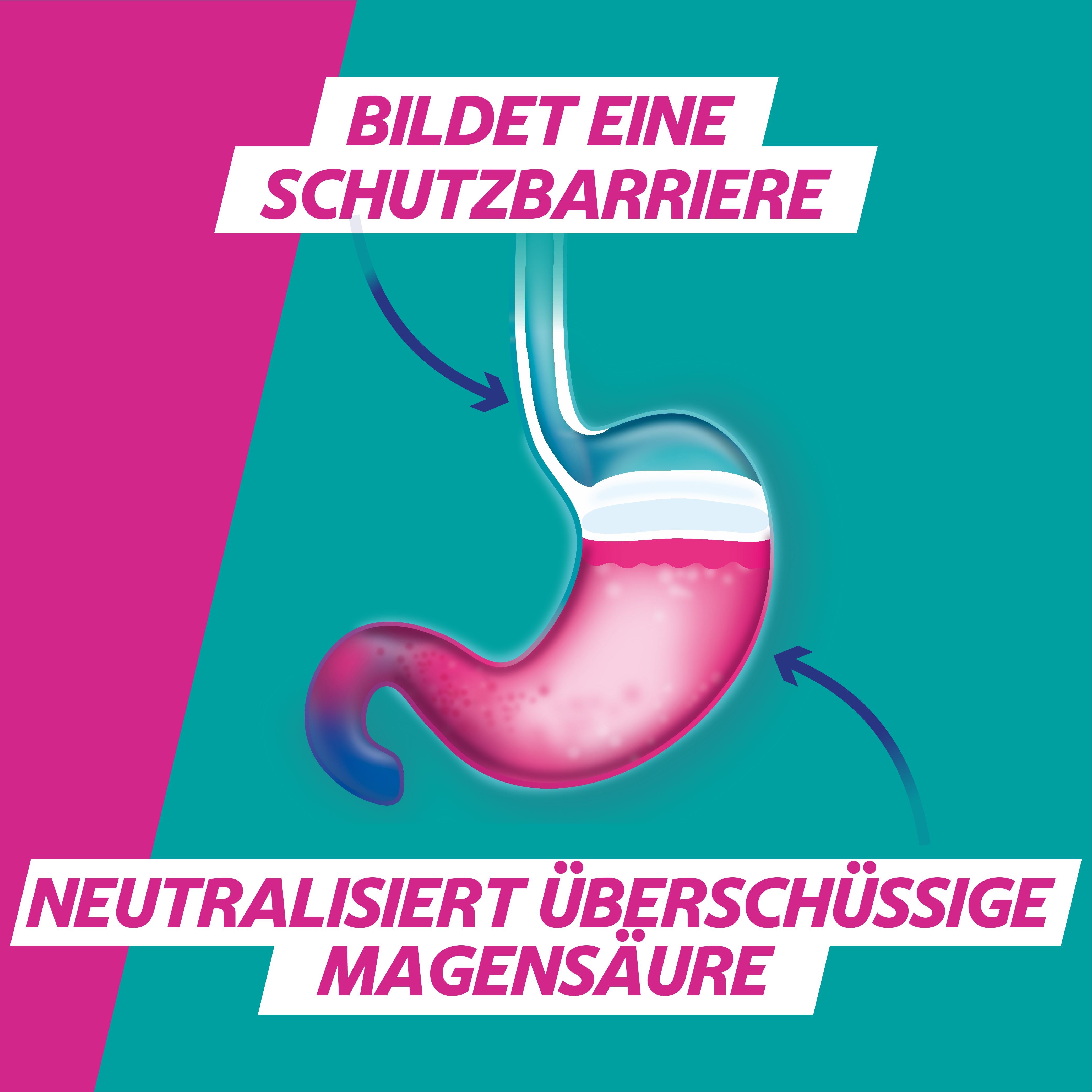 GAVISCON DUAL Waldfruchtgeschmack - Bei Sodbrennen 24X10 ml Suspension zum Einnehmen