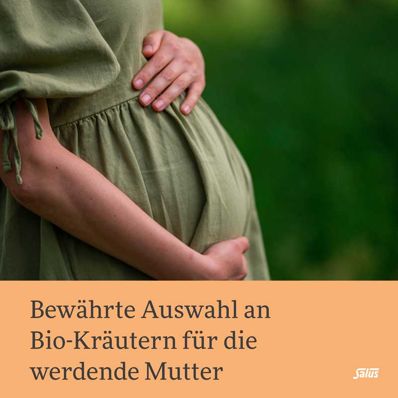 Salus Schwangerschaftstee Bio  15 St Filterbeutel