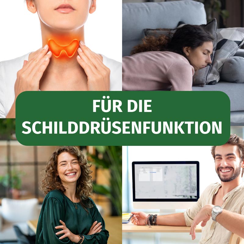 GREEN NATURALS JOD  365 St Kapseln