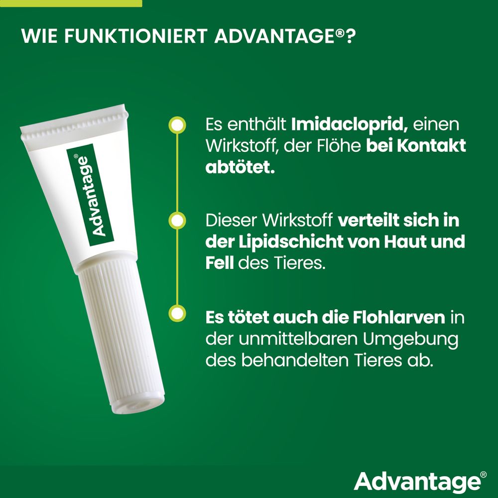ADVANTAGE 40MG KATZE+ZIERKANINCHEN 4X0.4 ml Lösung
