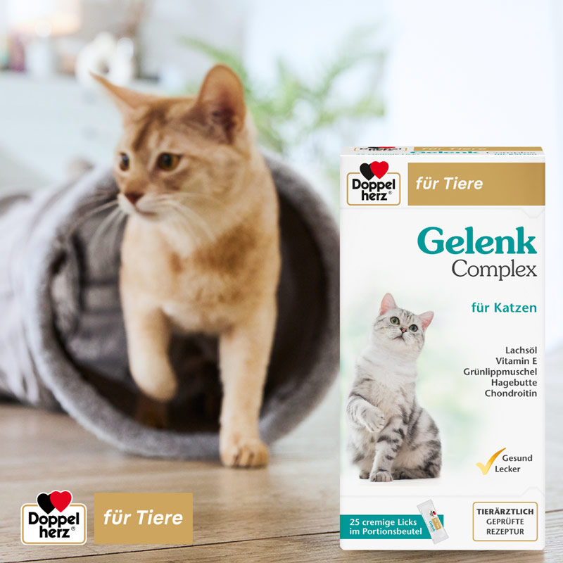 Doppelherz Gelenk Complex für Katzen 25 St Paste