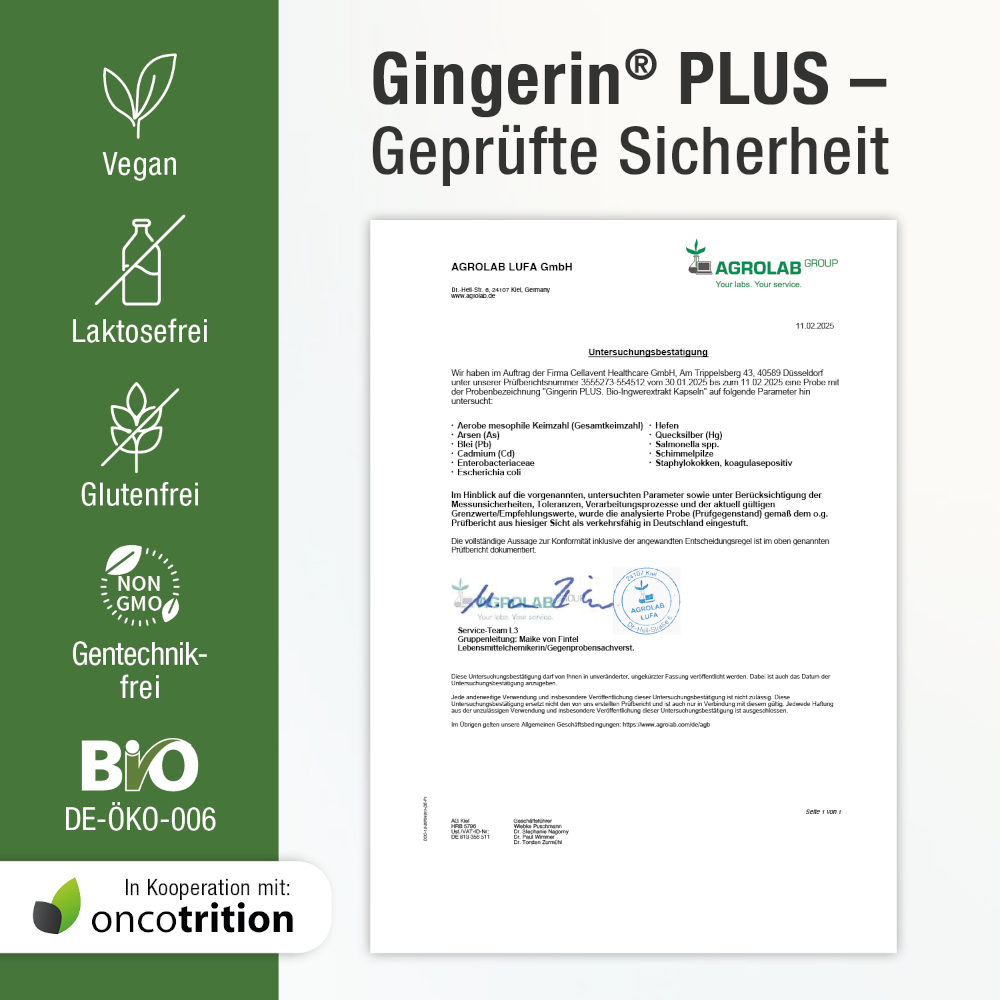 GINGERIN PLUS 60 St Kapseln
