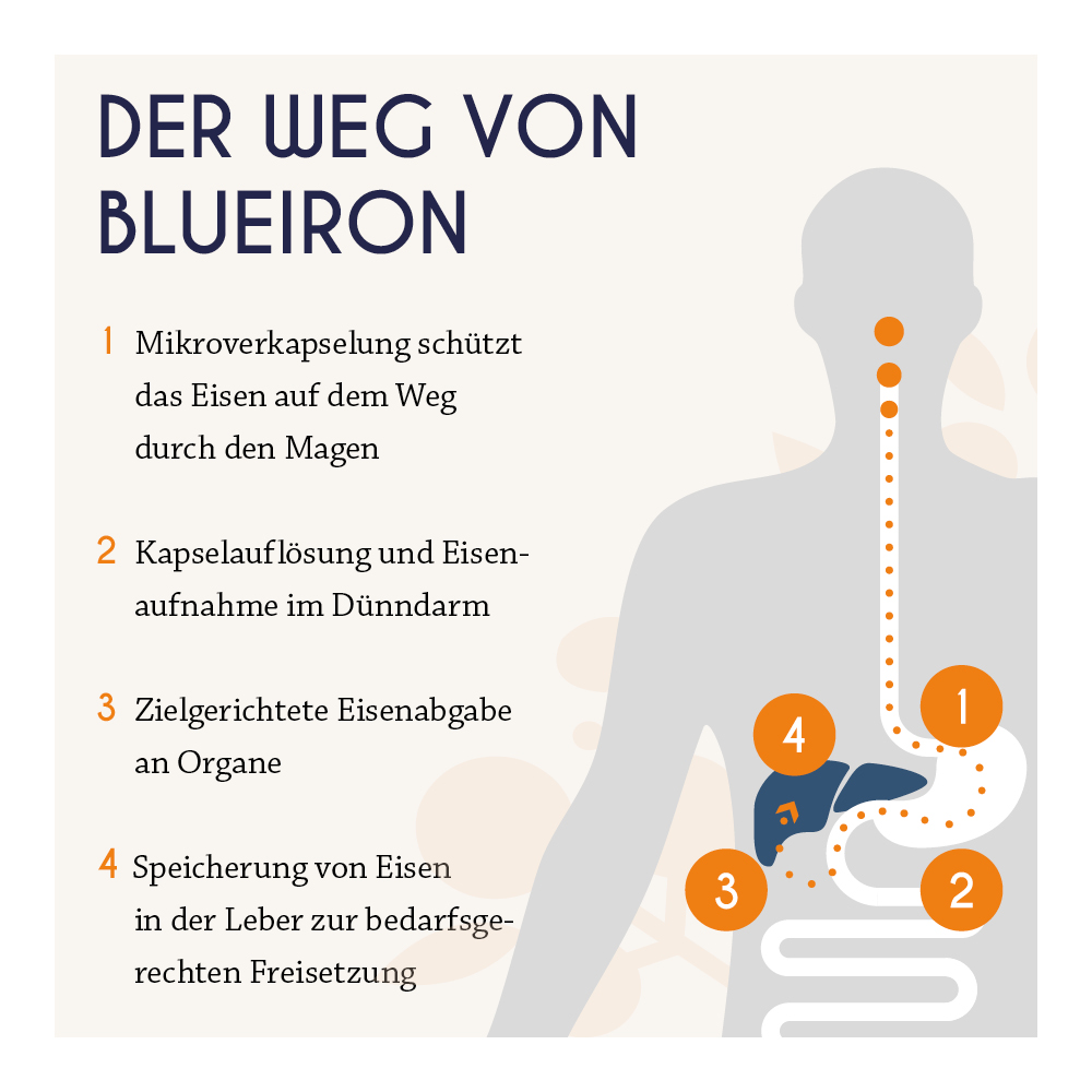 BLUE IRON EISEN PREGNANCY 250 ml Flüssigkeit zum Einnehmen