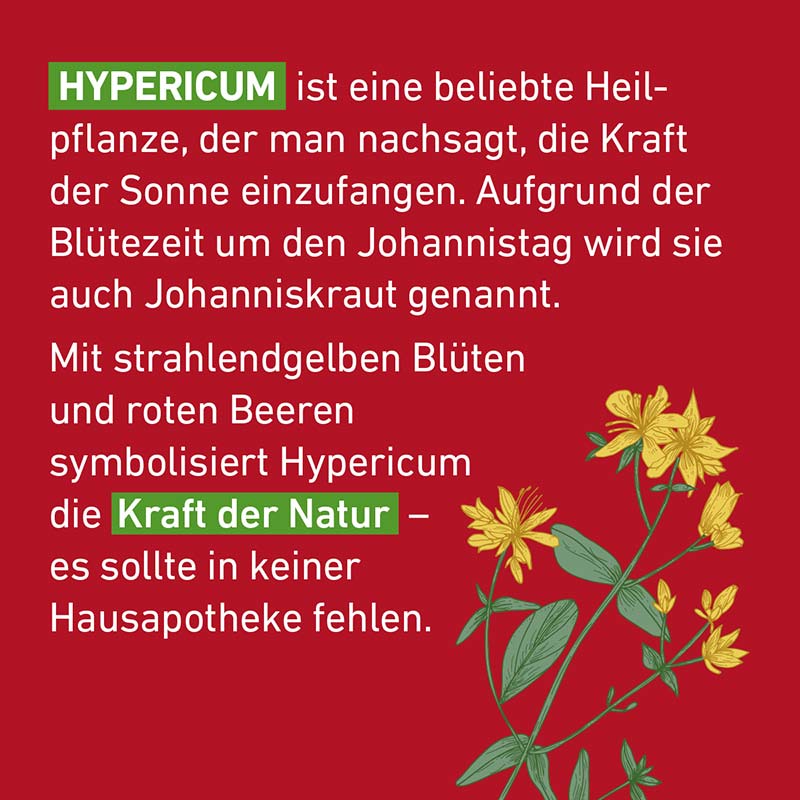 Hypericum C30 Globuli Pflüger 10 g Globuli