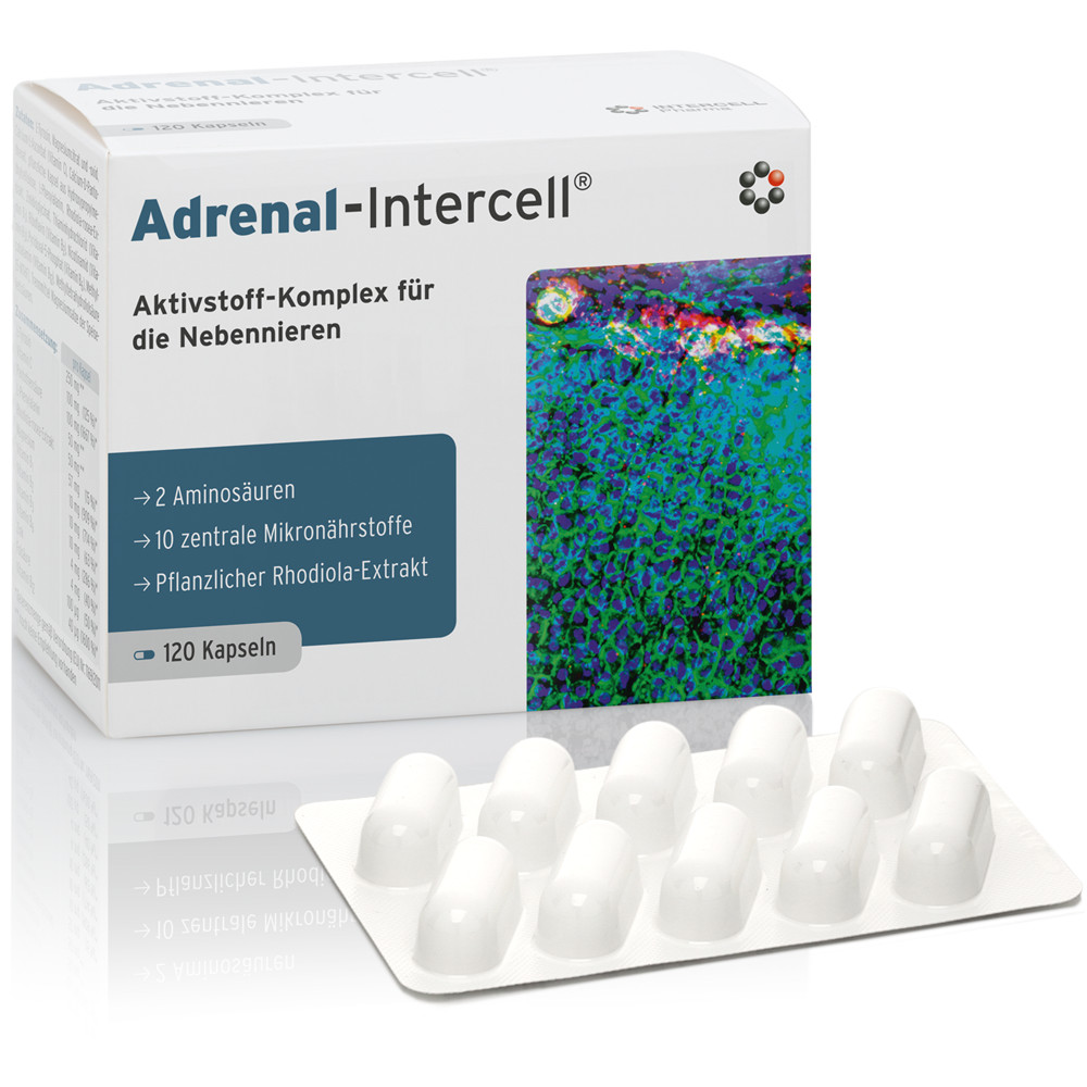 Adrenal-intercell Kapseln 120 St Kapseln