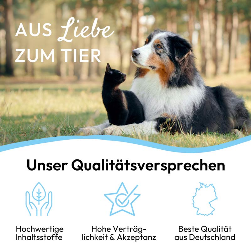 PHA ZahnSchutz PLUS Pulver für Hunde und Katzen 60 g Pulver