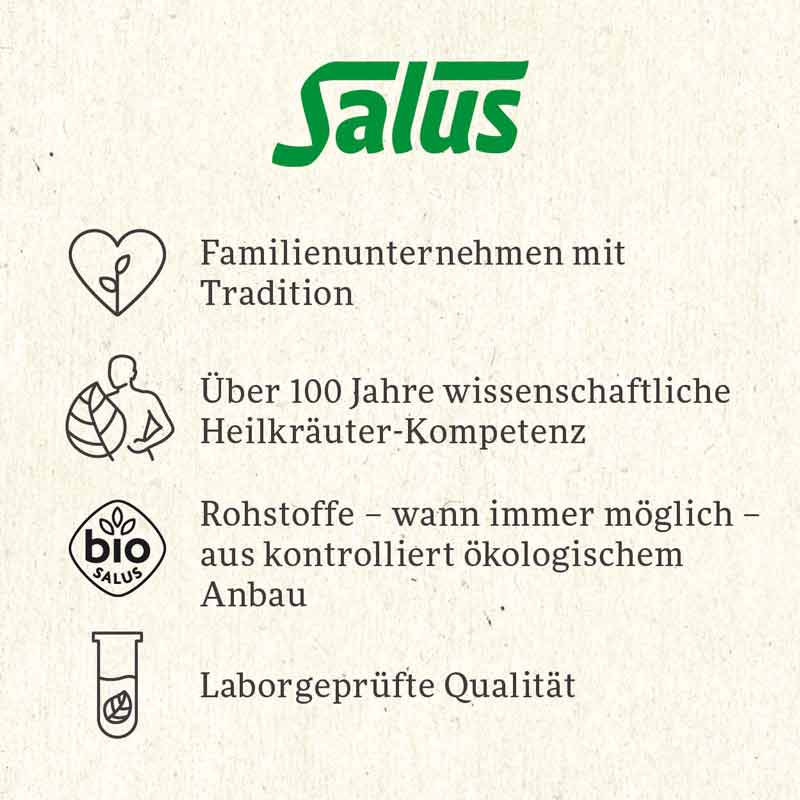 Salus Wintertee Lebkuchentraum 15 St Filterbeutel