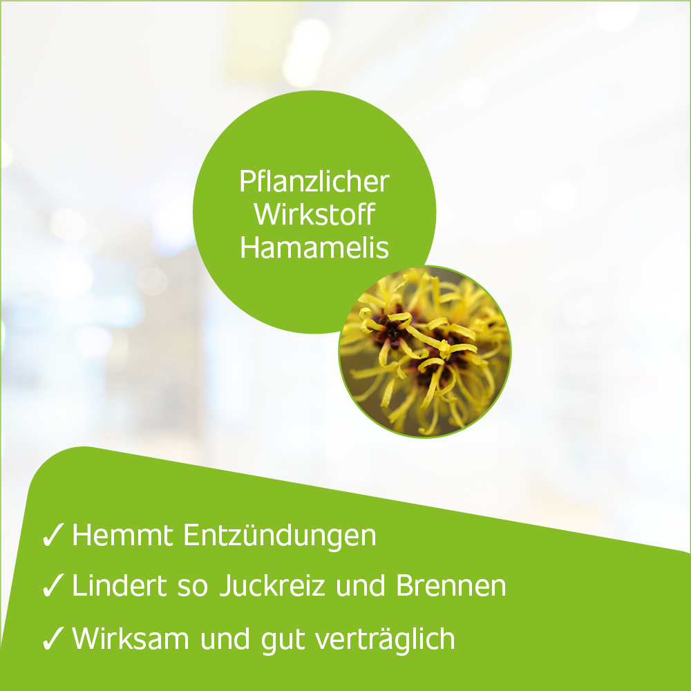 Hametum Hämorrhoidenzäpfchen 25 St Suppositorien