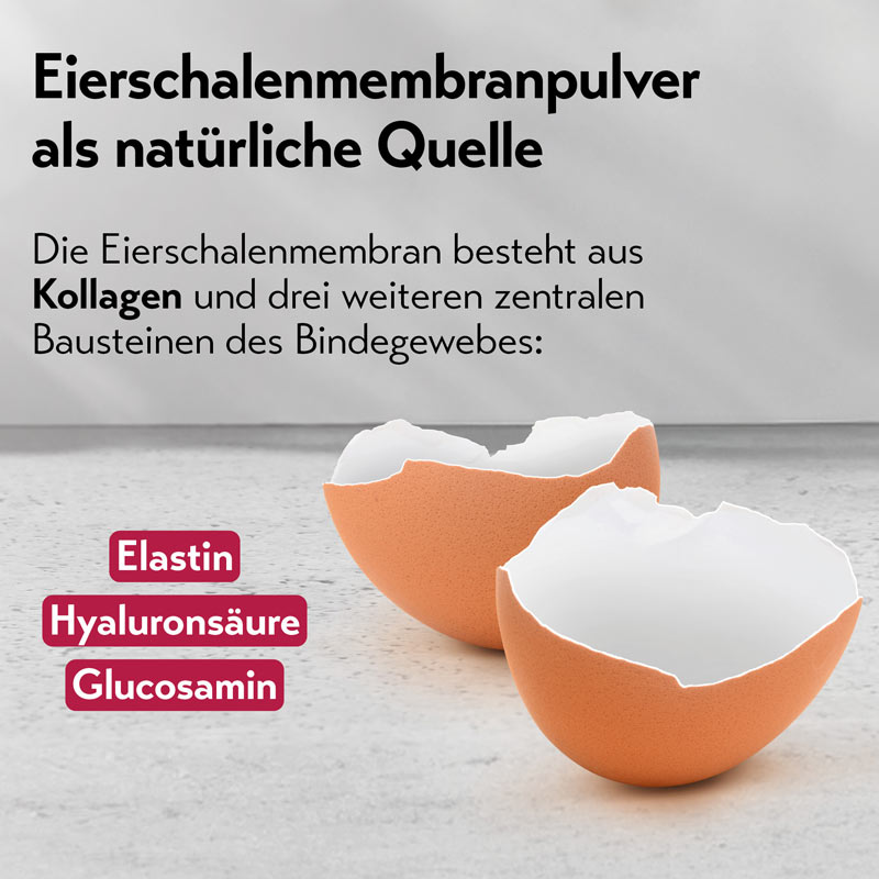 pureSGP KOLLAGEN PEPTIDE MULTI FORMULA  300 g Pulver