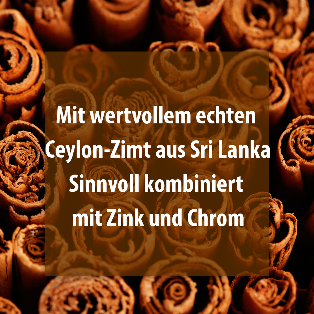 Ceylon-zimt 500 Aktiv Kapseln 120 St Kapseln