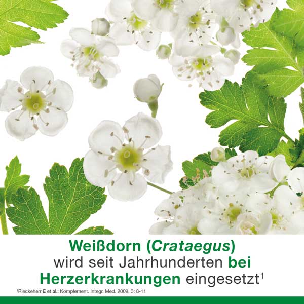 cratae-Loges 450 mg Weißdorn 50 St Filmtabletten