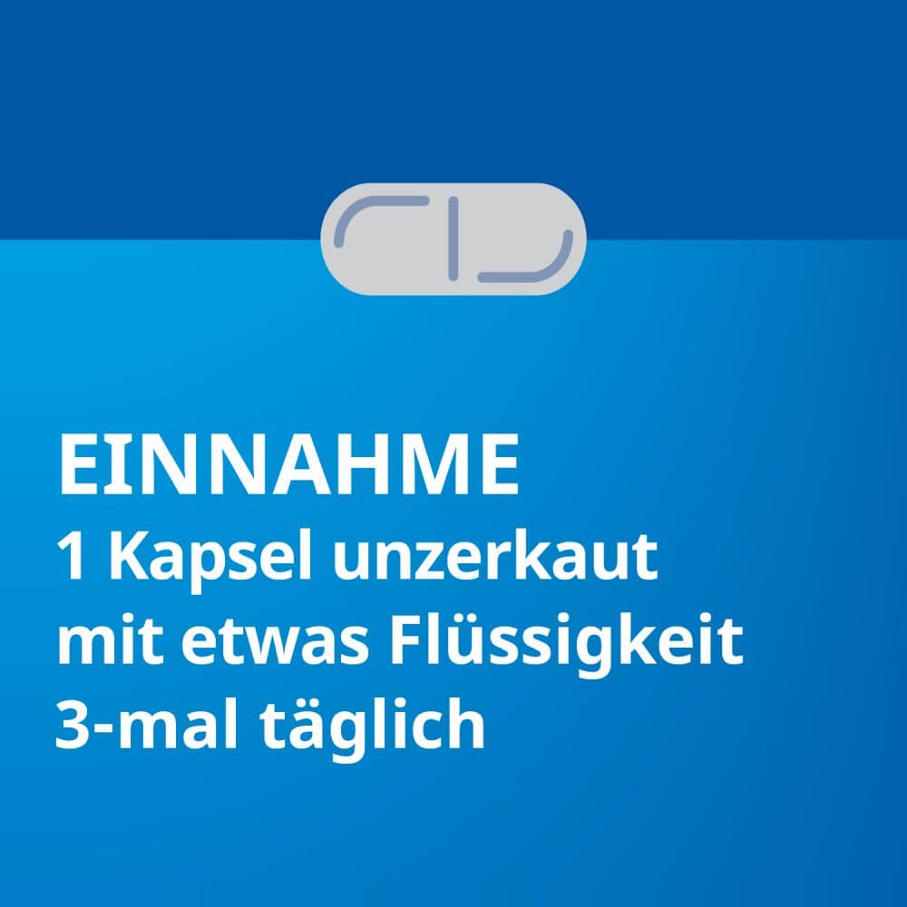 Silymarin STADA 100 St Hartkapseln