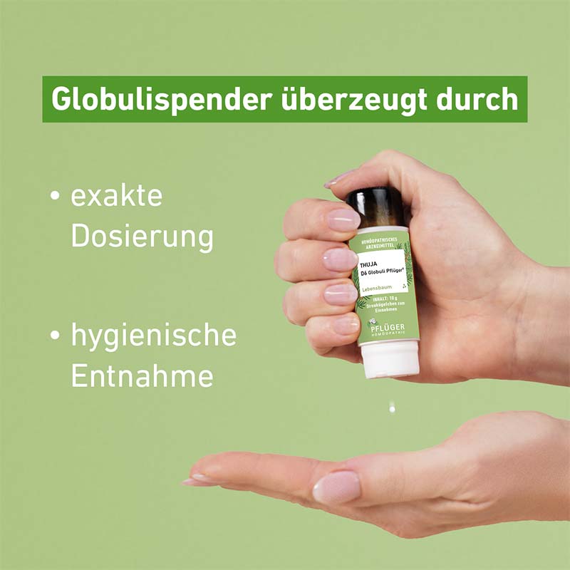 Thuja C30 Globuli Pflüger 10 g Globuli
