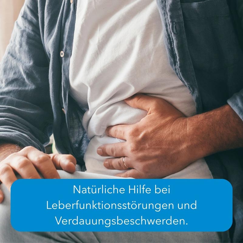 HEPEEL N Tabletten 250 St Tabletten
