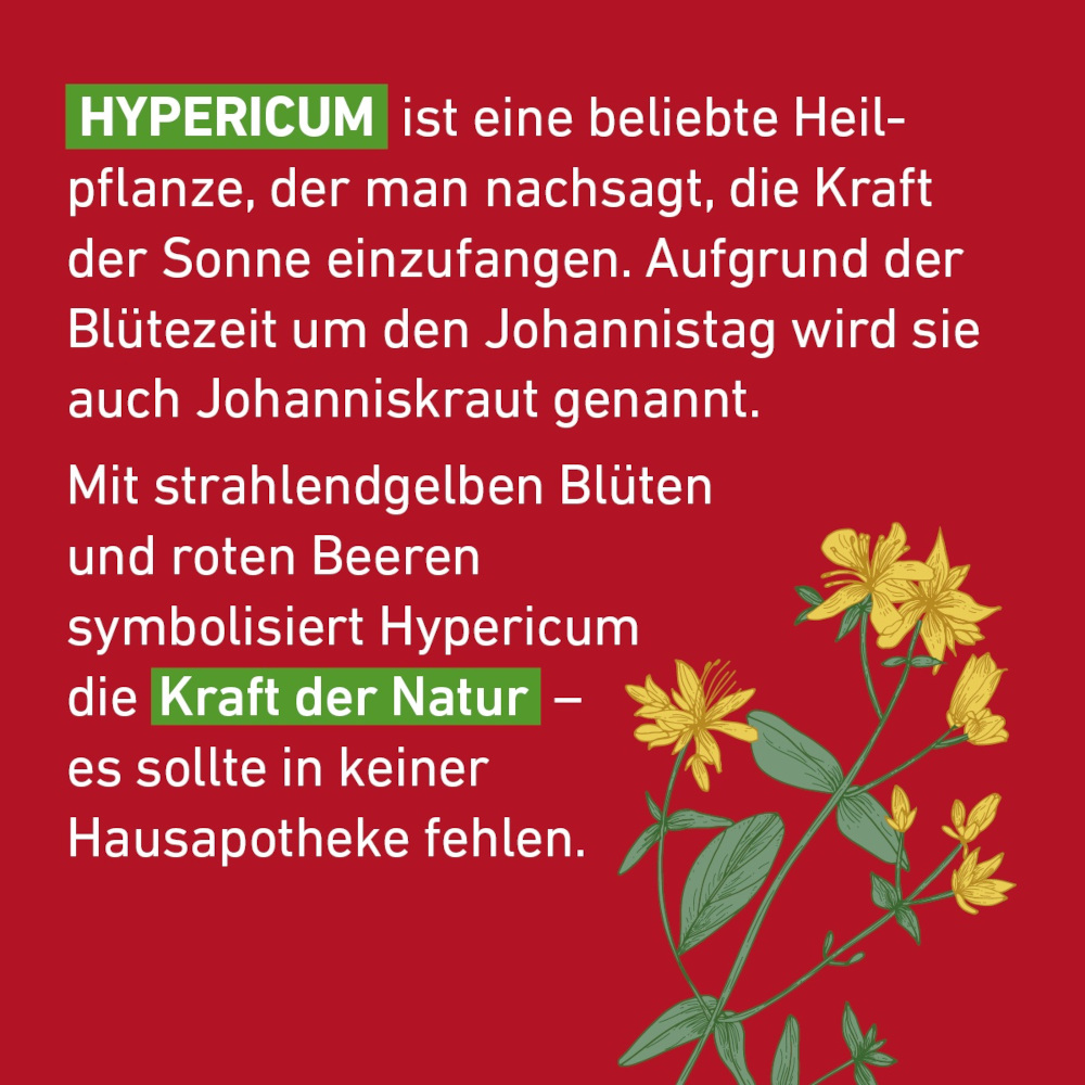 Hypericum D6 Globuli Pflüger 10 g Globuli