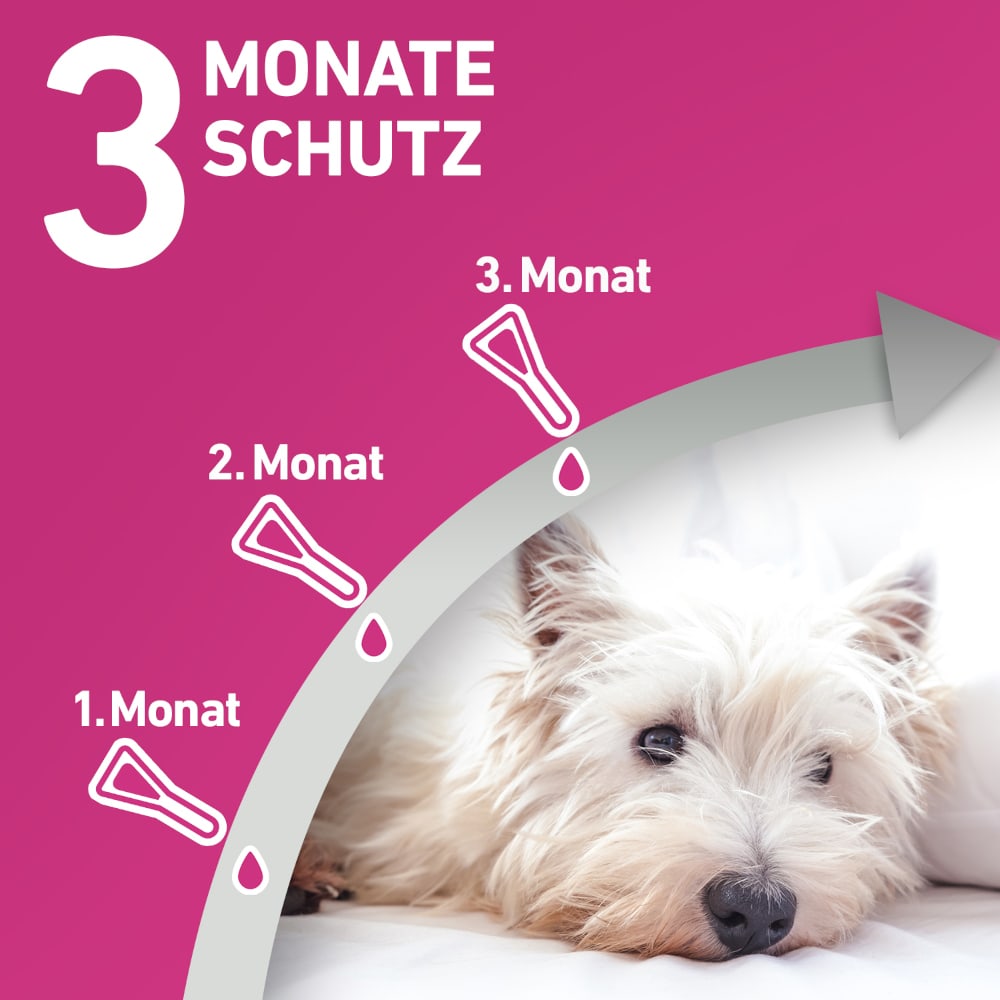 FRONTLINE TRI-ACT gegen Zecken, Flöhe & fliegende Insekten für Hunde L (20-40 kg)  3 St Lösung