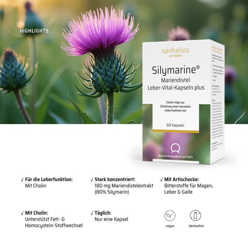 Silymarine Mariendistel Leber-Vital-Kapseln plus 60 St Kapseln