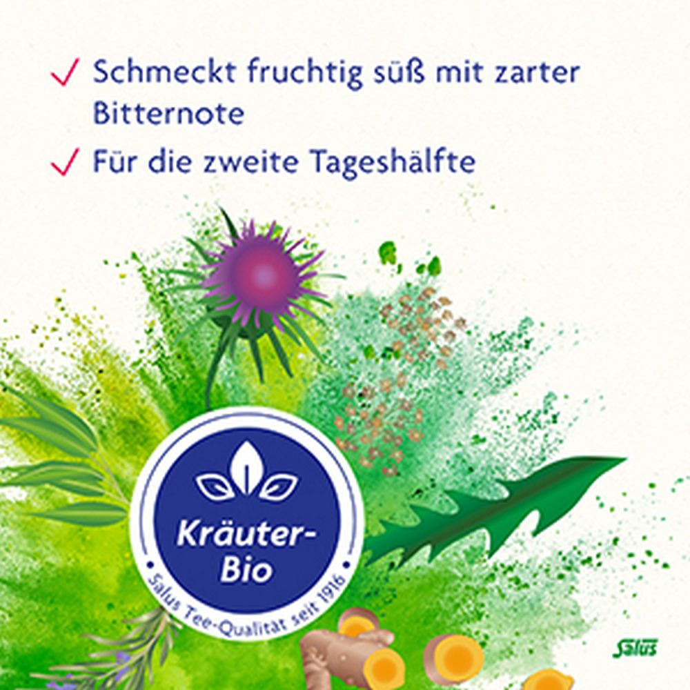 Salus Basen-Aktiv Mariendistel Löwenzahn 75 g Tee