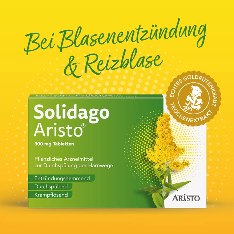 Solidago Aristo 300mg Tabletten  20 St Tabletten