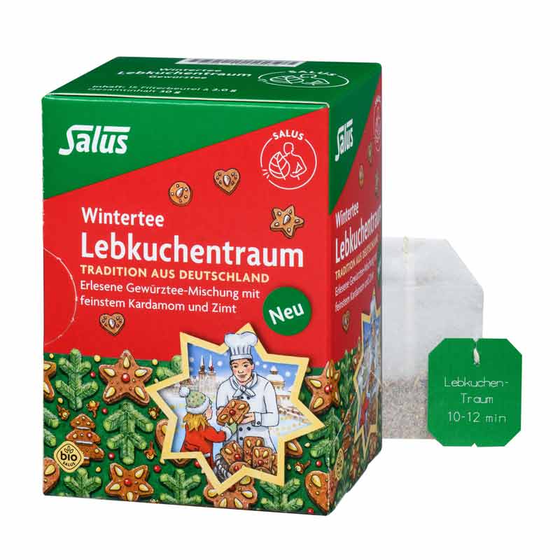 Salus Wintertee Lebkuchentraum 15 St Filterbeutel