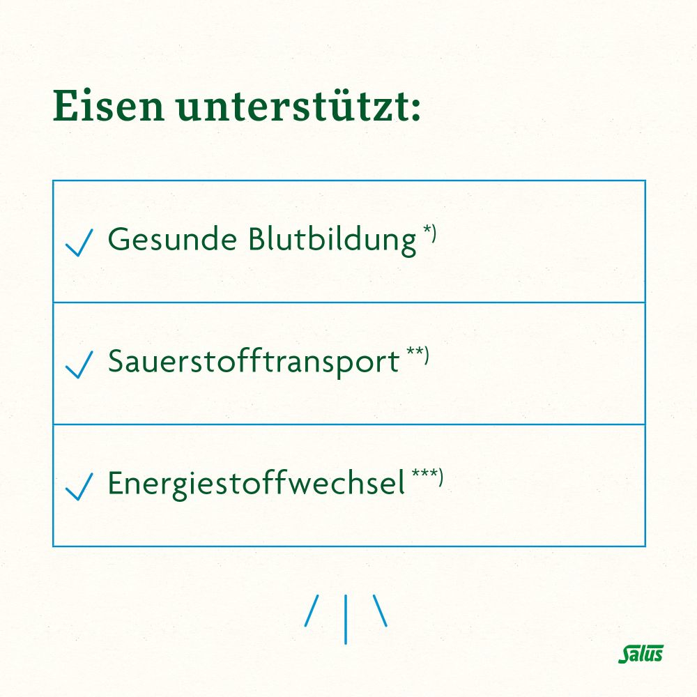 Floradix Eisen plus B12 vegan 40 St Kapseln