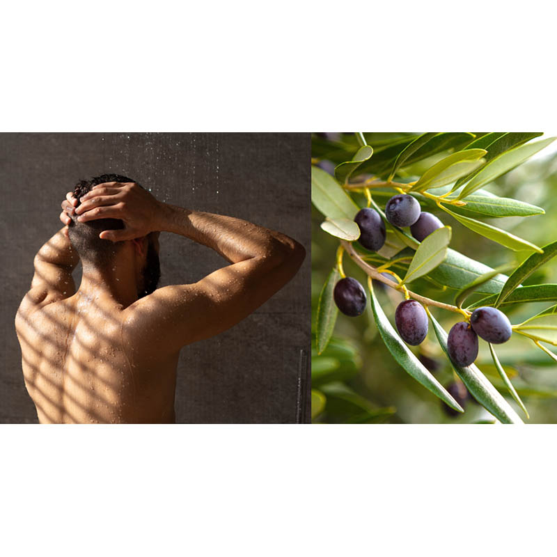 PLANTANA Pflegeduschbad Olive 500 ml Duschgel