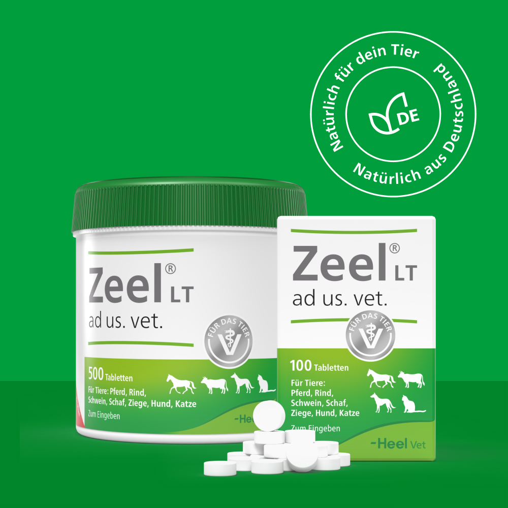 Zeel LT ad us. vet. 500 St Tabletten