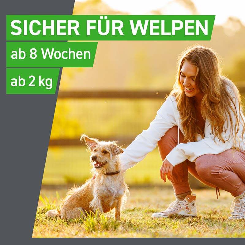 FRONTLINE COMBO gegen Zecken, Flöhe (Flöhe, Eier, Larven, Puppen) für Hunde L (20-40 Kg) 3 St Lösung