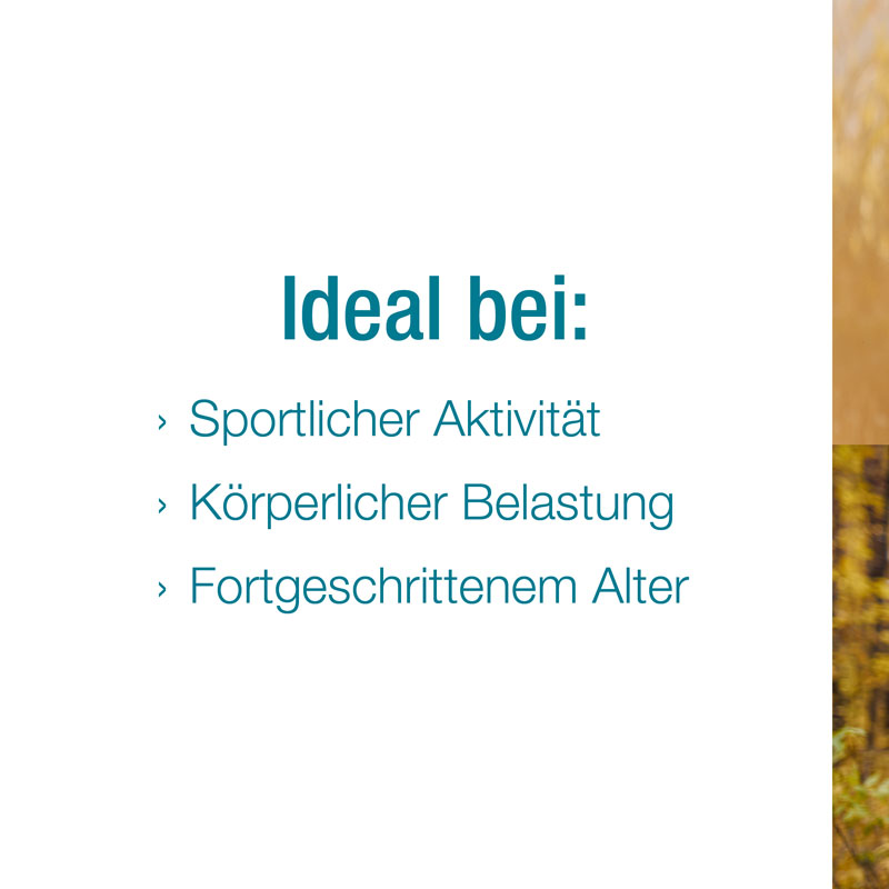 Arthri-Verlan Grünlippmuschel-Konzentrat 200 St Tabletten