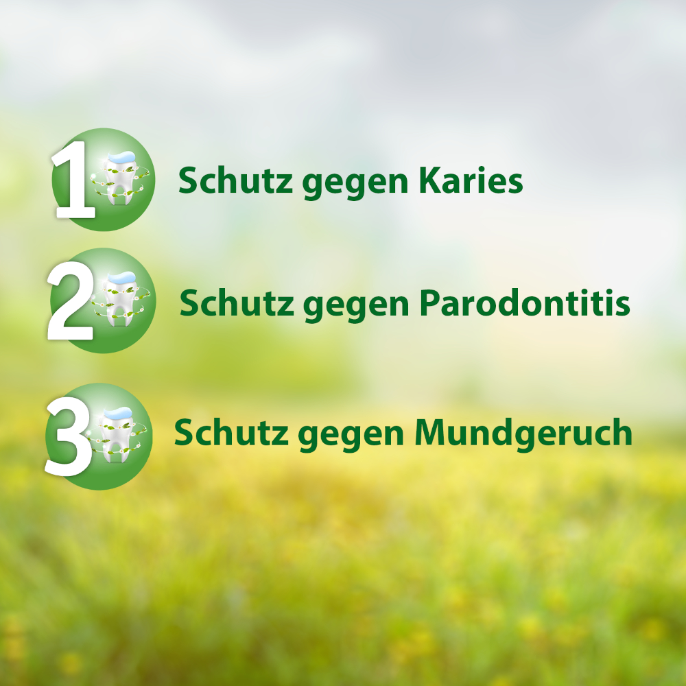 Salviagalen Madaus 75 ml Zahncreme