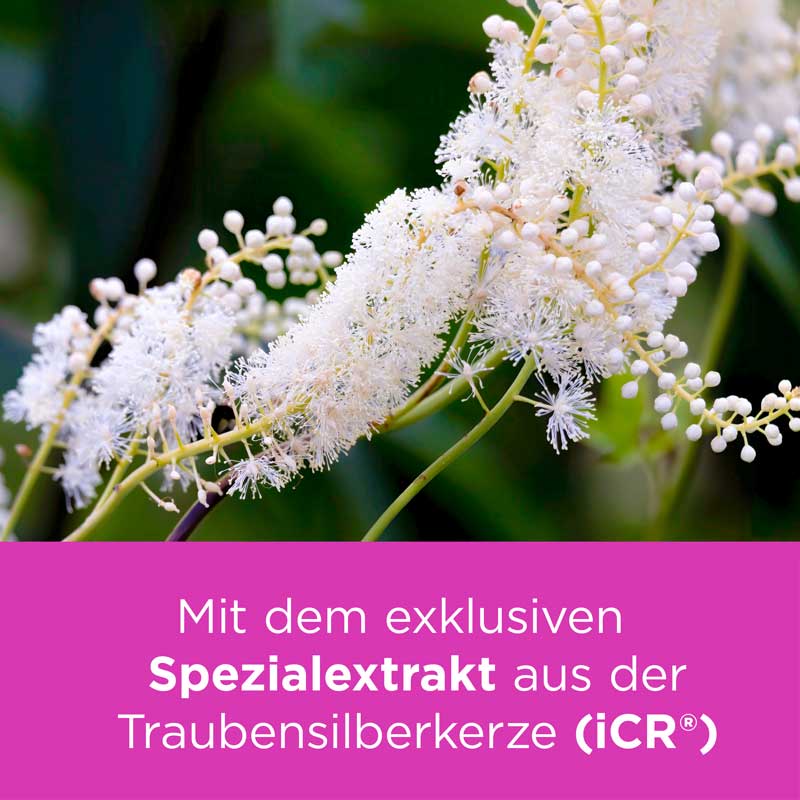 Remifemin mono bei Wechseljahresbeschwerden 90 St Tabletten