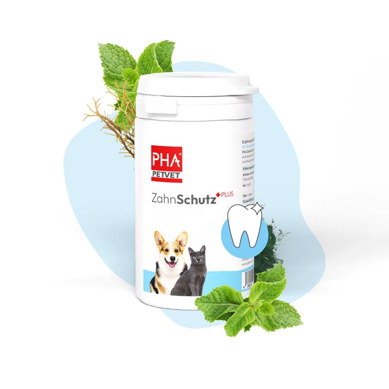 PHA ZahnSchutz PLUS Pulver für Hunde und Katzen 60 g Pulver