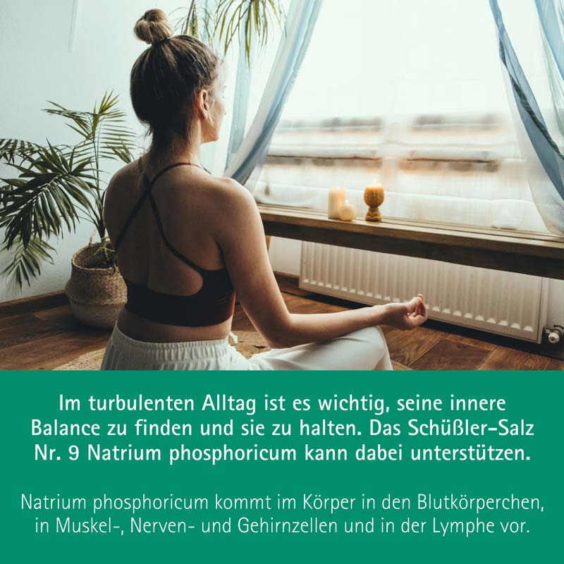Schüßler-Salz Nr. 9 Natrium phosphoricum D6 15 g Globuli