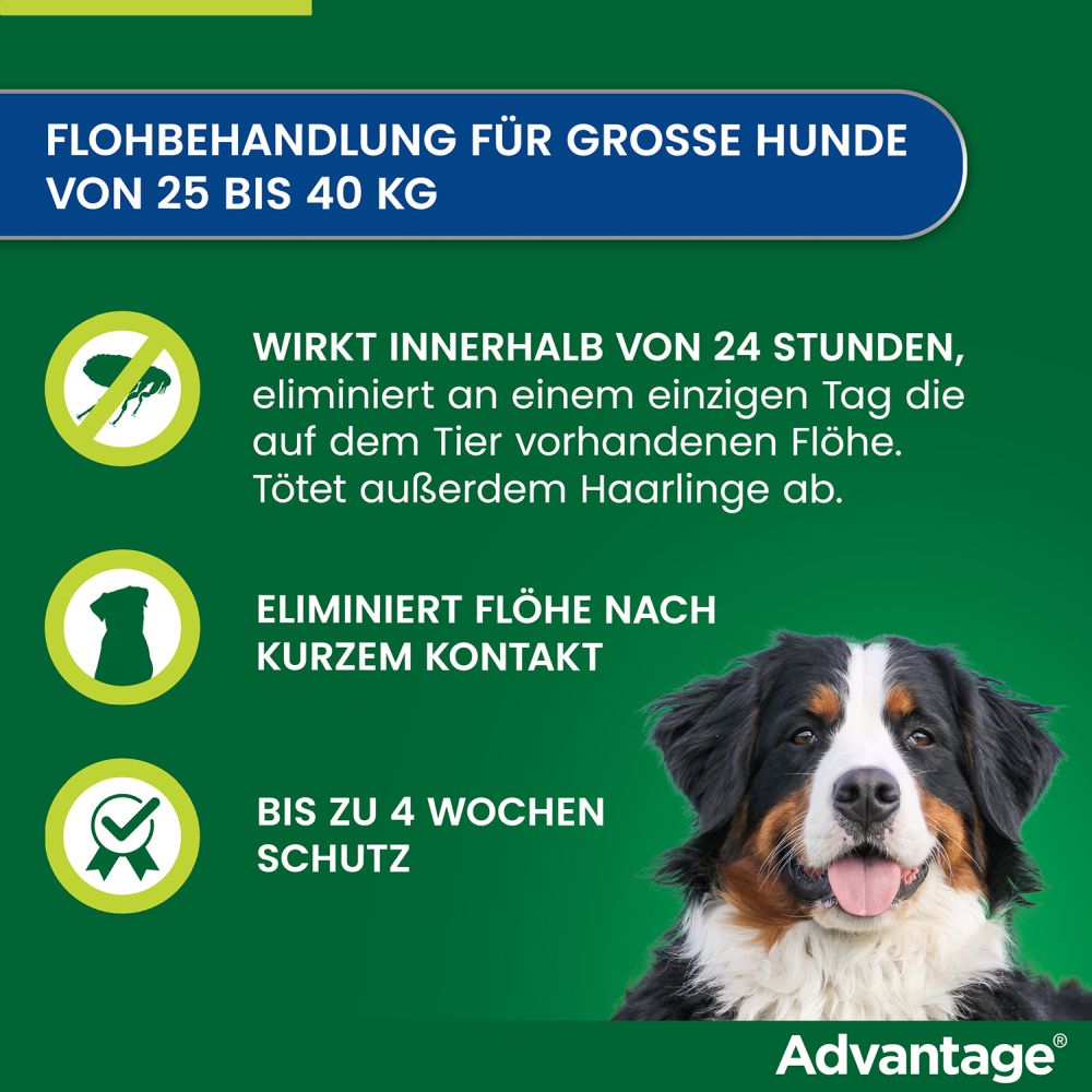 ADVANTAGE 400 HUND PIPETTE 1X4 St Lösung