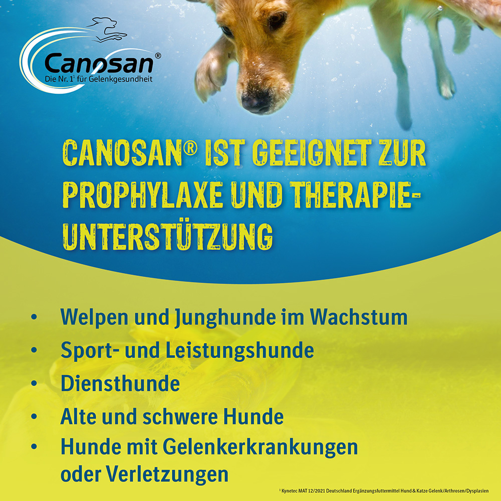 CANOSAN Kautabletten bei Gelenkproblemen Hund mit Grünlippmuschel-Extrakt Gonex 30 St Kautabletten