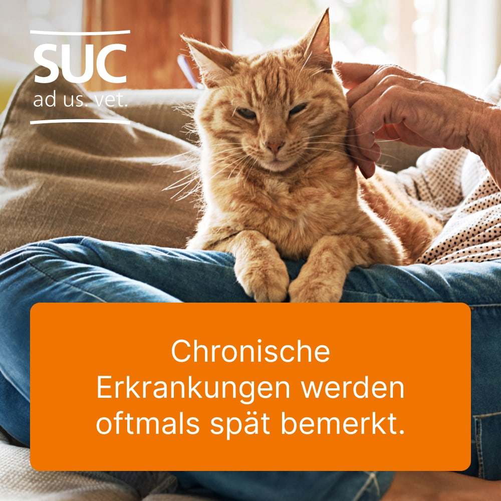 Heel Vet SUC-Bundle 1 St Sparset