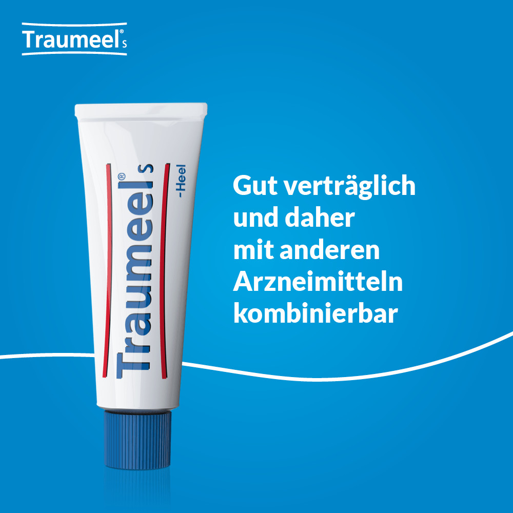 Traumeel S 100 g Creme