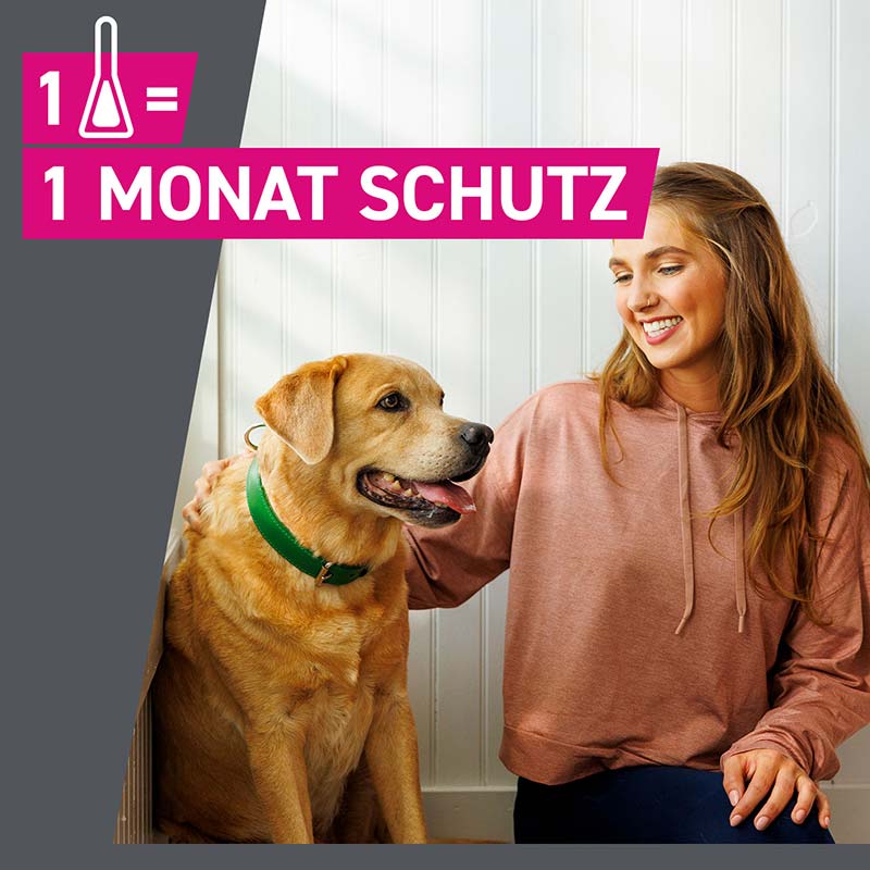 FRONTLINE TRI-ACT gegen Zecken, Flöhe und fliegende Insekten für Hunde M (10-20 kg)  3 St Lösung