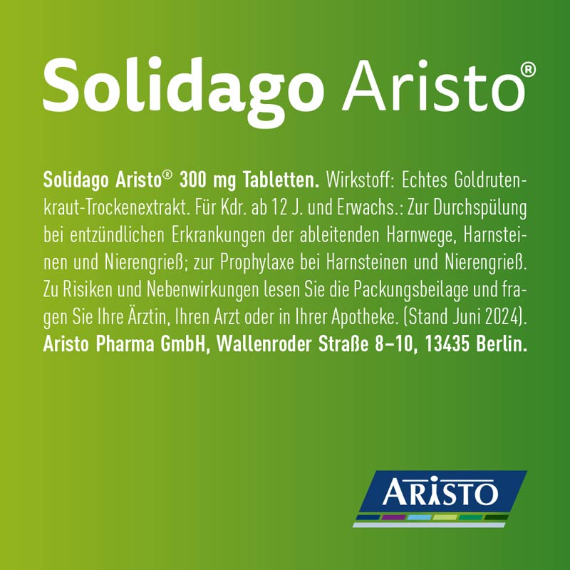 Solidago Aristo 300mg Tabletten  100 St Tabletten