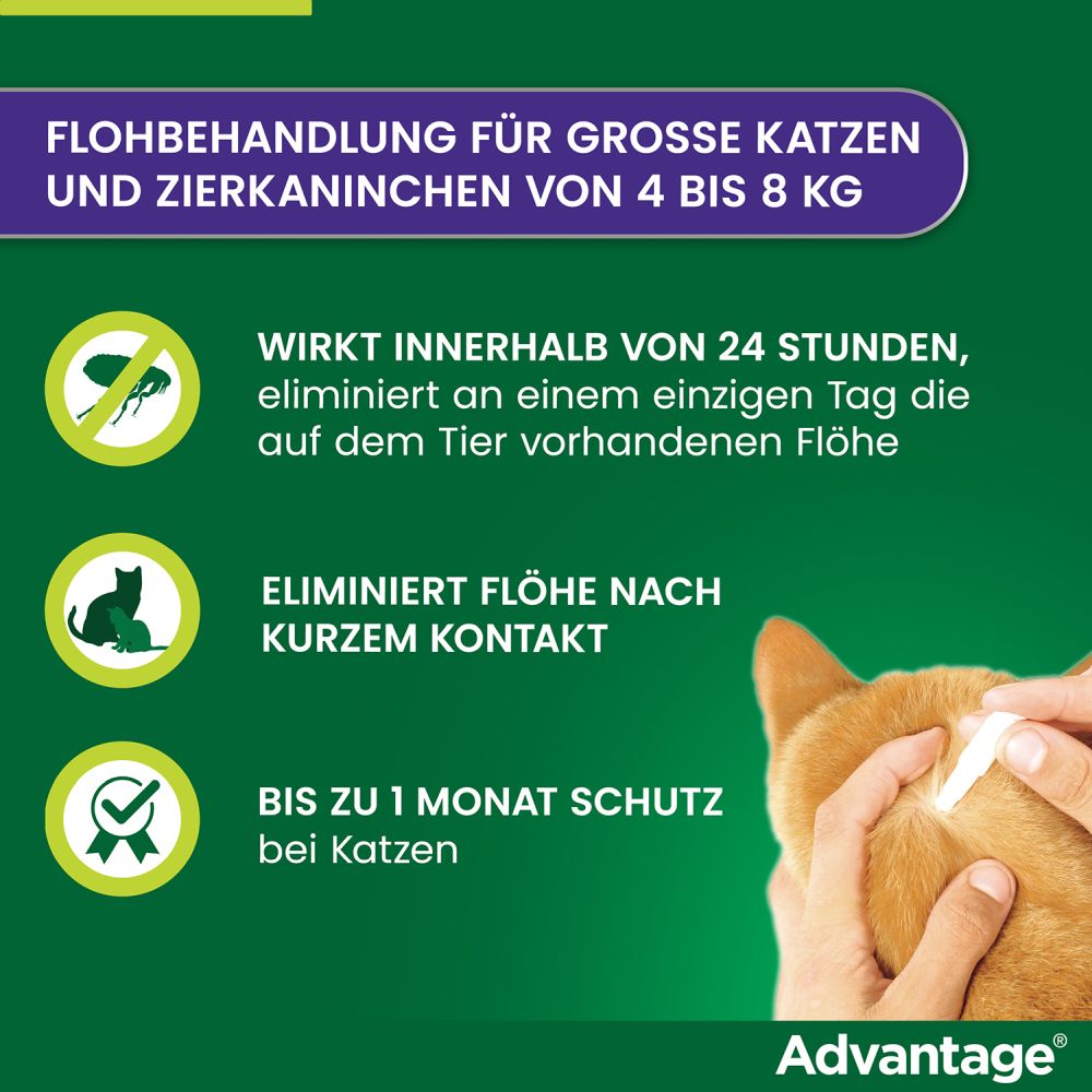 ADVANTAGE 80MG KATZE+ZIERKANINCHEN 4X0.8 ml Lösung