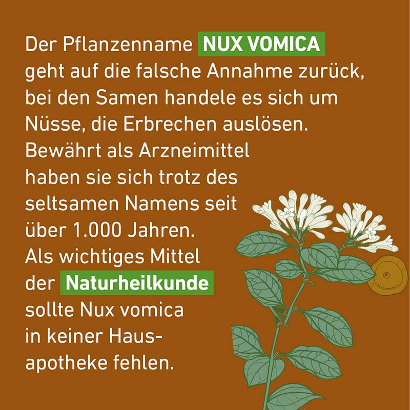 NUX VOMICA D6 Globuli Pflüger 10 g Globuli