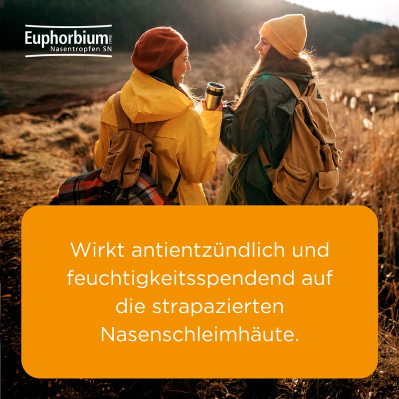 Euphorbium Compositum Nasentropfen SN  20 ml Nasendosierspray