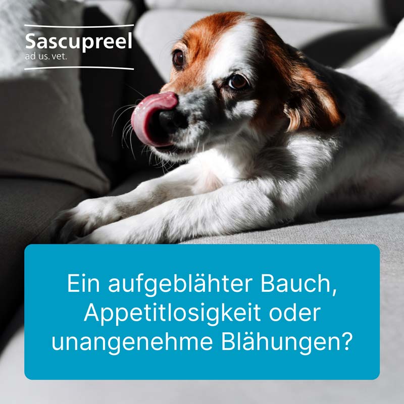 Sascupreel Ad Us Vet 5X5 ml Ampullen